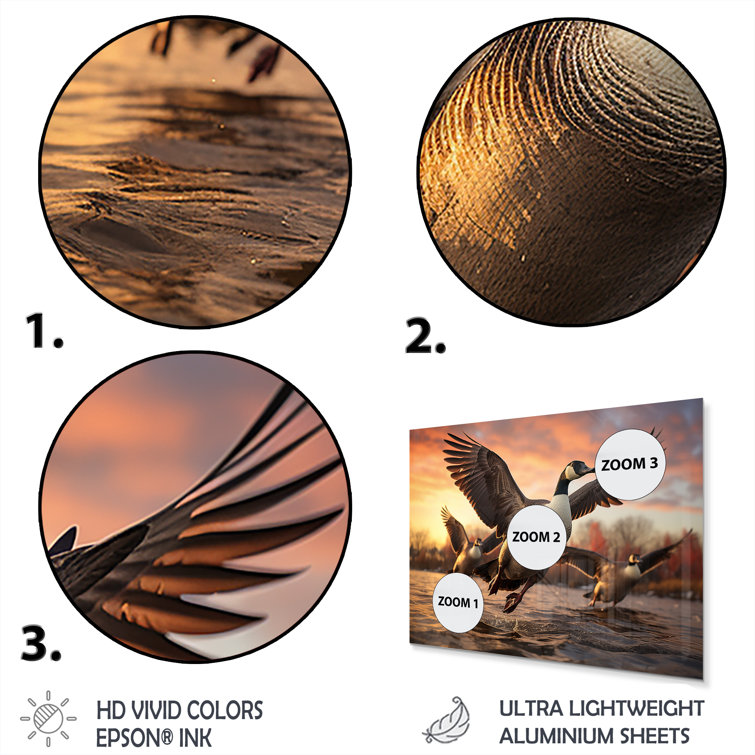 DesignArt Canada Canadian Geese II Animals Metal Wall Decor Set